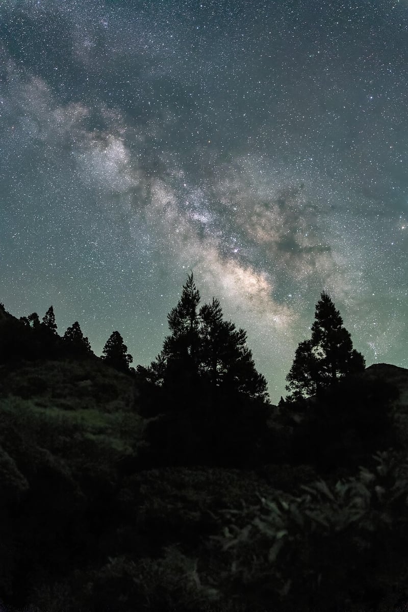 Constellation Tuxedo Image